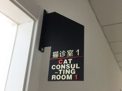 -伟伟宠物医院·瑞派猫友好医院·猫科(光谷店)