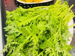 -筋头巴脑牛一锅(朝阳路总店)