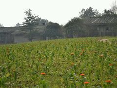 android_upload_pic-保利石象湖景区
