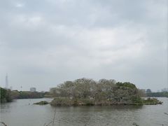 -海珠湖公园