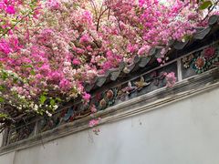 -深圳国际园林花卉博览园