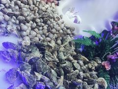 -鑫海汇自助烧烤(凯德广场学府店)
