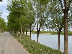 -东郊湿地公园