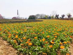 -西海岸生态观光园