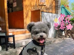 -春风习习