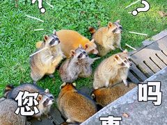 -广州动物园