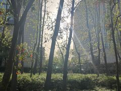 -上海财神庙