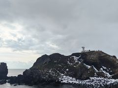 -涉地可支