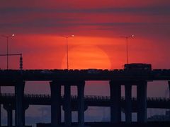 -宝安西湾红树林湿地公园