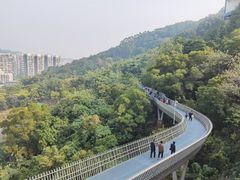 -福道