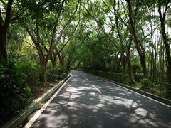 -大屏嶂森林公园
