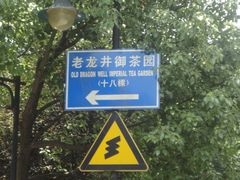 DSC01251-十八棵（老龙井）御茶园(老龙井店)