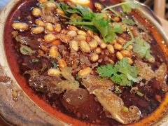 油渣鲜血旺-传奇霸王兔