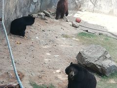 -无锡动物园·太湖欢乐园
