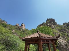 -大岭沟猕猴桃谷风景区