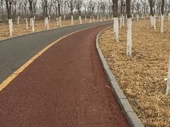 -天津东丽湖风景区