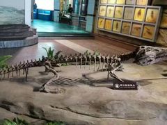 -自贡恐龙博物馆