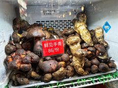 -太婆天府山珍酒楼(亚运村店)