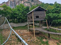 -西霞口神雕山野生动物世界