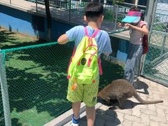 -西霞口神雕山野生动物世界