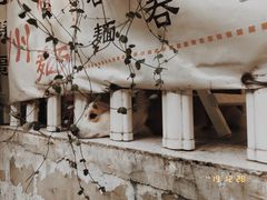 -小梁哥云吞面(黄贝岭店)