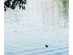 -荔湾湖公园