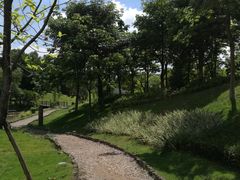 -晓港公园