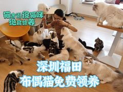 -有喵·猫咖·狗咖·30几只猫10只小狗(岗厦店)