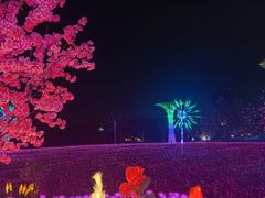 -国际非物质文化遗产博览园