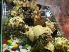 -双季花艺园艺市场(浦东店)