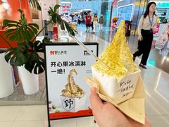 -野人先生现做冰淇淋(北京王府井东方新天地店)