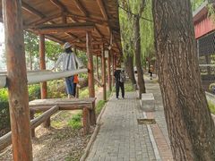 -河北村民俗体验园