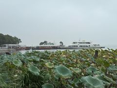 -渔娘蟹庄(阳澄湖莲花岛店)