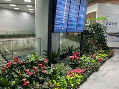 -长沙黄花国际机场-T1航站楼