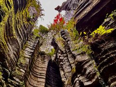 -梭布垭石林景区