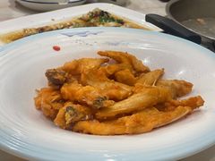 -港升鱼师傅·中山脆肉鲩