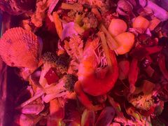 -南中轴熊猫范大食堂
