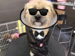 -宠宠熊宠物美容(星湖街店)