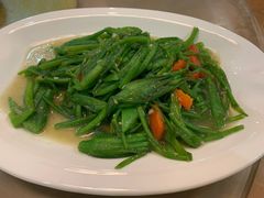 素炒海菜-益恒饭店乡间白族菜(古城总店)