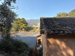 -杨家堂村