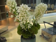 -奥力健身瑜伽普拉提馆(红宝路店)