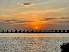 -宝安西湾红树林湿地公园