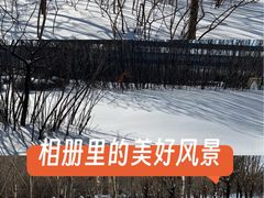 -丁香湖公园