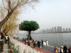 -咸阳湖景区