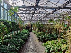 -南宫五洲植物乐园