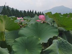 -古田会议纪念馆