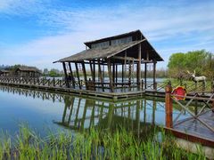 -溱湖国家湿地公园