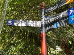 -梧桐山风景名胜区