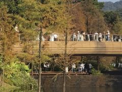 -云溪植物园