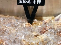 -Oyster Talks 四度蚝法餐厅